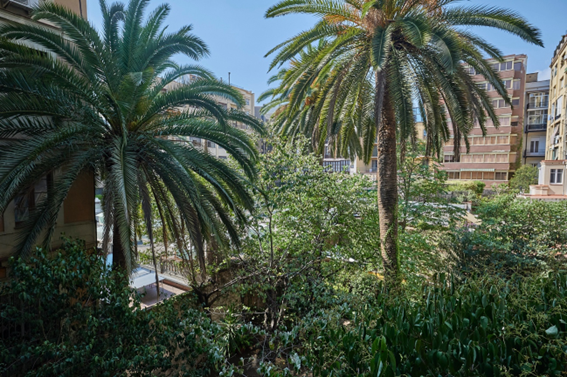 Vistas desde la galería